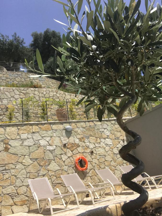 Asaya Hills Villas Parga Extérieur photo