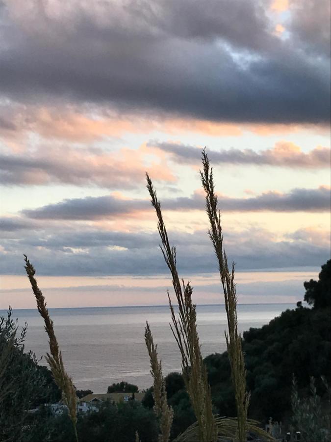 Asaya Hills Villas Parga Extérieur photo